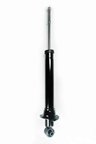FCS 345481 Suspension Strut Assembly - Rear - view 1