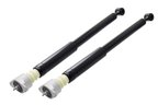 FCS 8346017 Suspension Shock Absorber - Rear - view 2