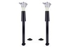 FCS 8346369 Suspension Shock Absorber - Rear - view 1