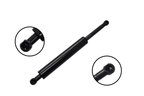 FCS 86679 Trunk Lid Lift Support - Rear - view 1