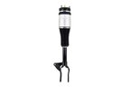 FCS 93017 Air Suspension Strut - Front Left - view 1
