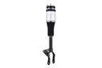 FCS 93018 Air Suspension Strut - Front Right - view 5