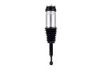 FCS 93019 Air Suspension Strut - Rear - view 5