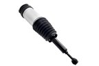 FCS 93019 Air Suspension Strut - Rear - view 4