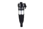 FCS 93021 Air Suspension Strut - Front - view 5