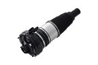 FCS 93021 Air Suspension Strut - Front - view 2