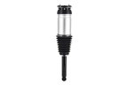 FCS 93024 Air Suspension Strut - Rear Right - view 1