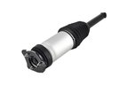 FCS 93024 Air Suspension Strut - Rear Right - view 2