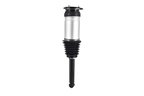 FCS 93025 Air Suspension Strut - Rear - view 5