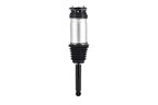 FCS 93025 Air Suspension Strut - Rear - view 1