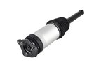 FCS 93025 Air Suspension Strut - Rear - view 2