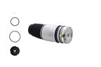 FCS Q9013 Air Suspension Spring - Rear - view 1