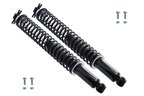 FCS SC00011 Suspension Shock Absorber and Coil Spring Assembly - Rear - view 3