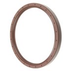 FAG SS5025 Engine Crankshaft Seal - Rear - view 1