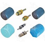 Four Seasons 26863 A/C System Valve Core and Cap Kit - view 1