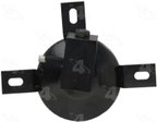 Four Seasons 33665 A/C Receiver Drier - view 5