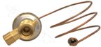 Four Seasons 38683 A/C Expansion Valve - Front or Rear - view 7