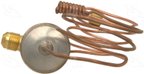 Four Seasons 38725 A/C Expansion Valve - view 5