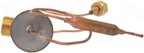 Four Seasons 39053 A/C Expansion Valve - view 5