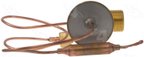 Four Seasons 39055 A/C Expansion Valve - view 5