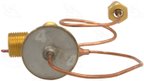 Four Seasons 39075 A/C Expansion Valve - view 5