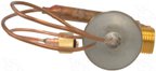 Four Seasons 39130 A/C Expansion Valve - view 5