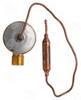 Four Seasons 39217 A/C Expansion Valve - view 5