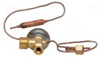 Four Seasons 39255 A/C Expansion Valve - view 7