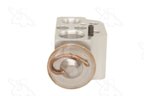 Four Seasons 39300 A/C Expansion Valve - Front - view 5