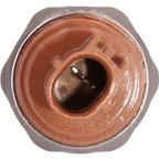 Global Parts 1815235 Automatic Transmission Oil Pressure Switch - view 2