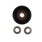 Genuine LR010725 Accessory Drive Belt Idler Pulley - view 1