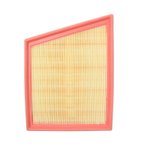 Genuine T4A6123 Engine Air Filter - Right - view 1