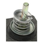 Hygrade FM64-397 Carburetor Secondary Throttle Diaphragm - view 5