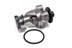 Hepu P429 Engine Water Pump - view 1