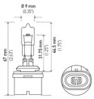 Hella 885 Headlight Bulb - Front or Low Beam - view 2