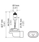 Hella 896 Fog Light Bulb - Front - view 2