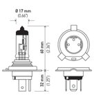 Hella 9003LL Daytime Running Light Bulb - view 2