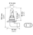 Hella 9005P50 Daytime Running Light Bulb - High Beam, High Beam and Low Beam or Low Beam - view 2