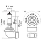 Hella H12 Fog Light Bulb - Front - view 2
