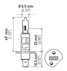 Hella H1LL Daytime Running Light Bulb - Front, High Beam or Low Beam - view 2