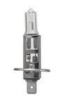 Hella H1P50 Daytime Running Light Bulb - Front, High Beam or Low Beam - view 1