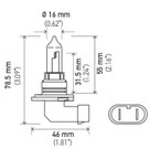 Optilux H71070582 Daytime Running Light Bulb - High Beam, High Beam and Low Beam or Low Beam - view 6