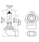 Optilux H71071012 Fog Light Bulb - Front - view 7
