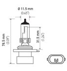 Optilux H71071452 Headlight Bulb - Low Beam - view 5