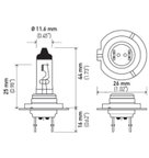 Hella H7LL Cornering Light Bulb - Front, High Beam, High Beam and Low Beam or Low Beam - view 2