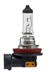 Hella H8SB Cornering Light Bulb - Front, High Beam or Low Beam - view 1