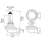 Hella H8 Cornering Light Bulb - Front, High Beam or Low Beam - view 2