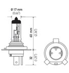 Hella HS1 Headlight Bulb - High Beam, High Beam and Low Beam or Low Beam - view 2