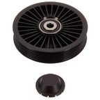 INA FP02421 Accessory Drive Belt Idler Pulley - view 1