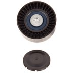 INA FP03421 Accessory Drive Belt Idler Pulley - view 1